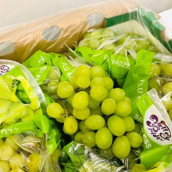 

ANGGUR HIJAU SEEDLESS ram04