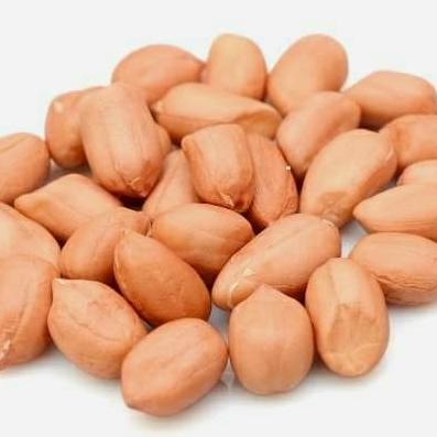 

STOK TERBATAS KACANG TANAH 250 GRAM