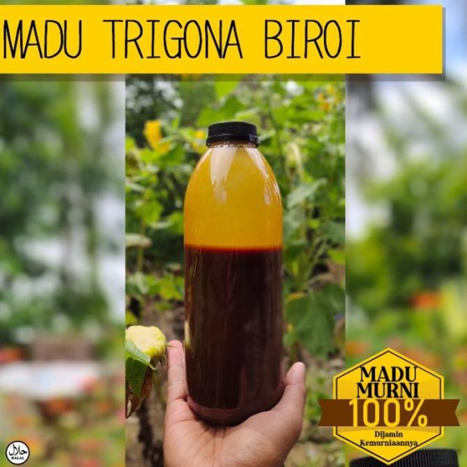 

1Kg Madu Klanceng | Madu Kelanceng Biroi | 100% Madu Murni Trigona