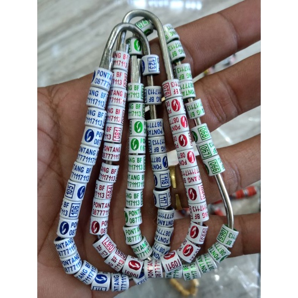 segel murai / ring murai / cincin burung