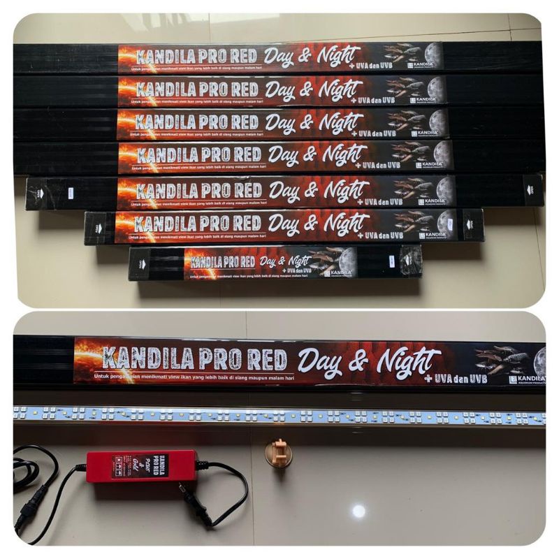 kandila pro red day & night 800
