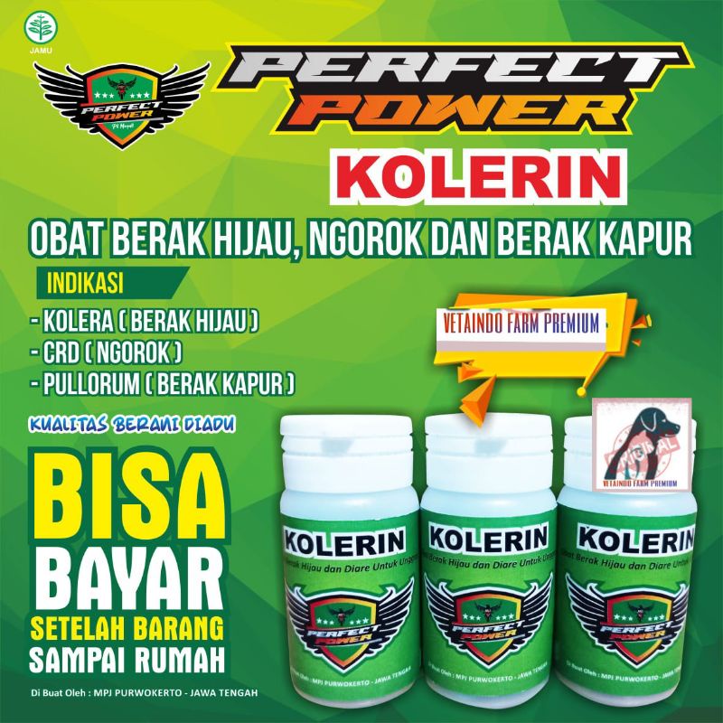 KOLERIN PERFECT POWER UNTUK MERPATI SAKIT NGOROK BERAK HIJAU PUTIH