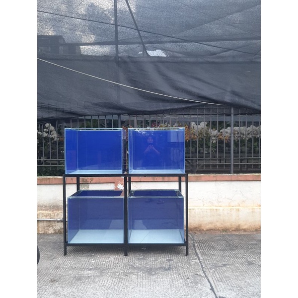 Aquarium Kaca 1 set(4 Aquarium ukuran 60x50x50 Full scotlet+Rak siku