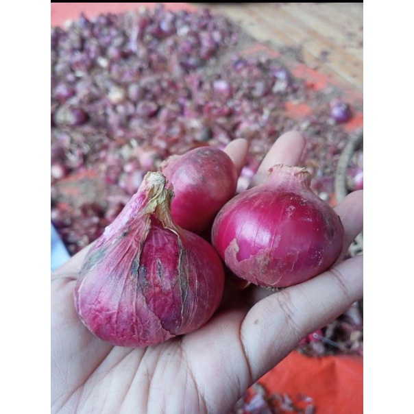 

BAWANG MERAH BREBES 1/2 KG BESAR