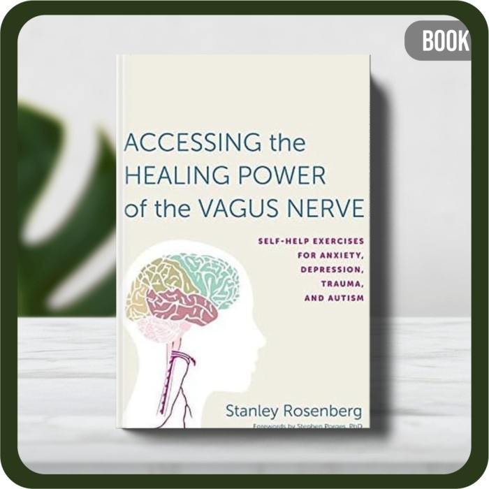 

Buku - Accessing the Healing Power of the Vagus Nerve-Stanley