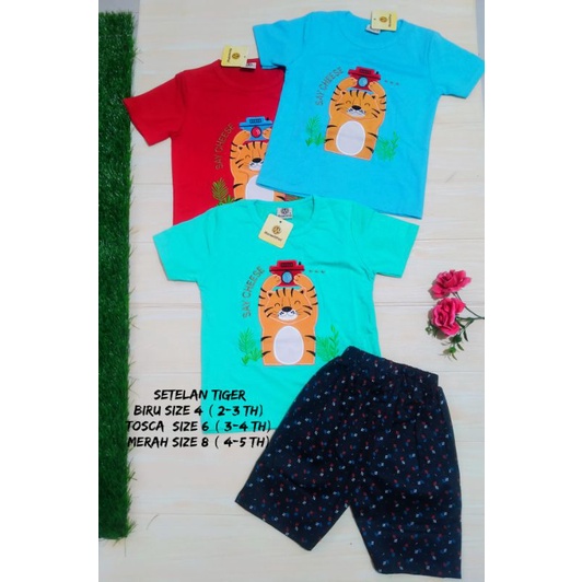 SETELAN ANAK LAKI-LAKI,SETELAN MAXWELLPRO