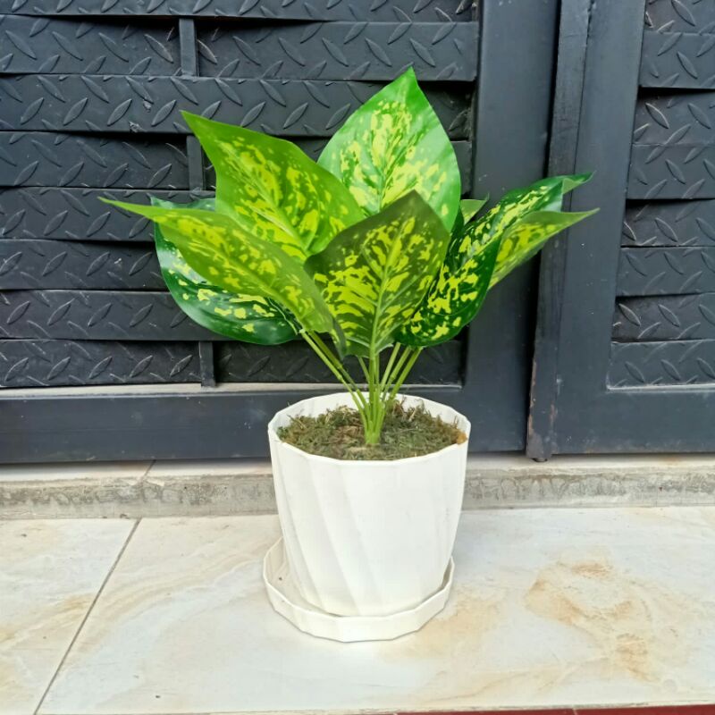 Set daun hias monstera bunga anthurium tanaman hia pot sudut bunga artifisial dekorasi rumah