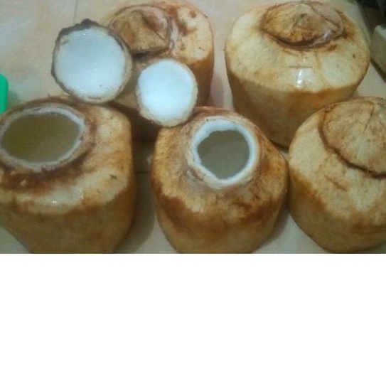 puding/jelly kelapa muda original