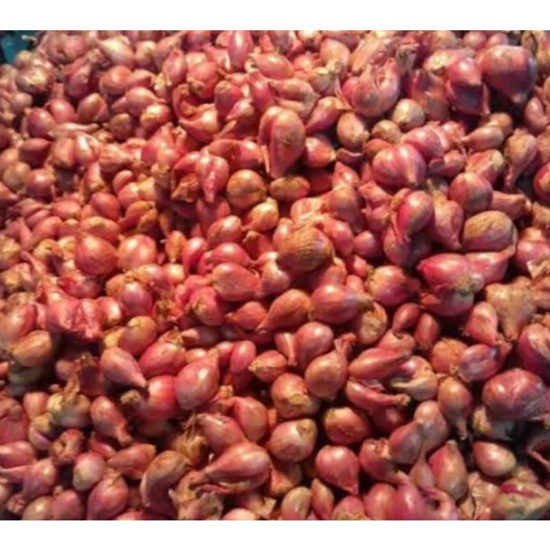 

bawang merah sedang 1kg premium segar,fres anti busuk