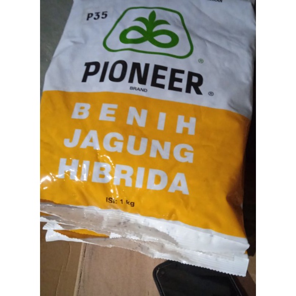 benih jagung hibrida 1kg pioneer p35