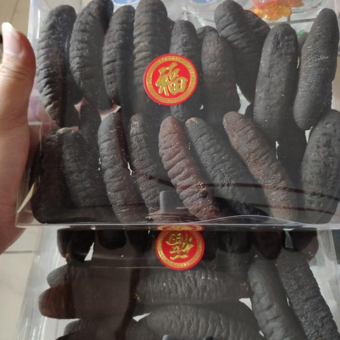 

Promo haisom teripang Belitung isi 20-22ekor/kg