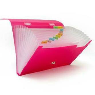 

Expanding expandable file F4 Bantex 13pocket