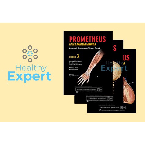 Hot Sale Atlas Anatomi Buku Kedokteran Prometheus Edisi 3 Terlaris
