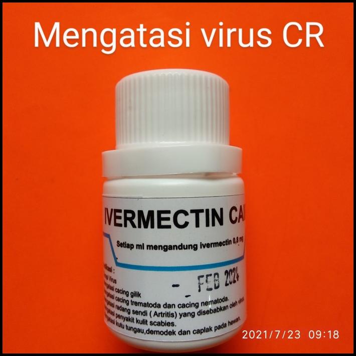 Ivermectin Oral,Obat Demodek,Obat Kutu,Kucing,Kelinci,Scabies