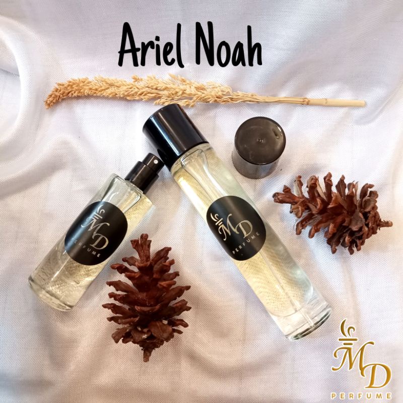 Parfum Pria Ariel Noah Wangi Tahan Lama Seharian