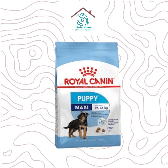 ROYAL CANIN MAXI PUPPY 4 KG - DOG FOOD