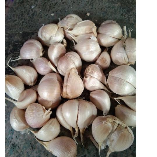

Sale | FG2 | bawang putih kating bersih super 1kg