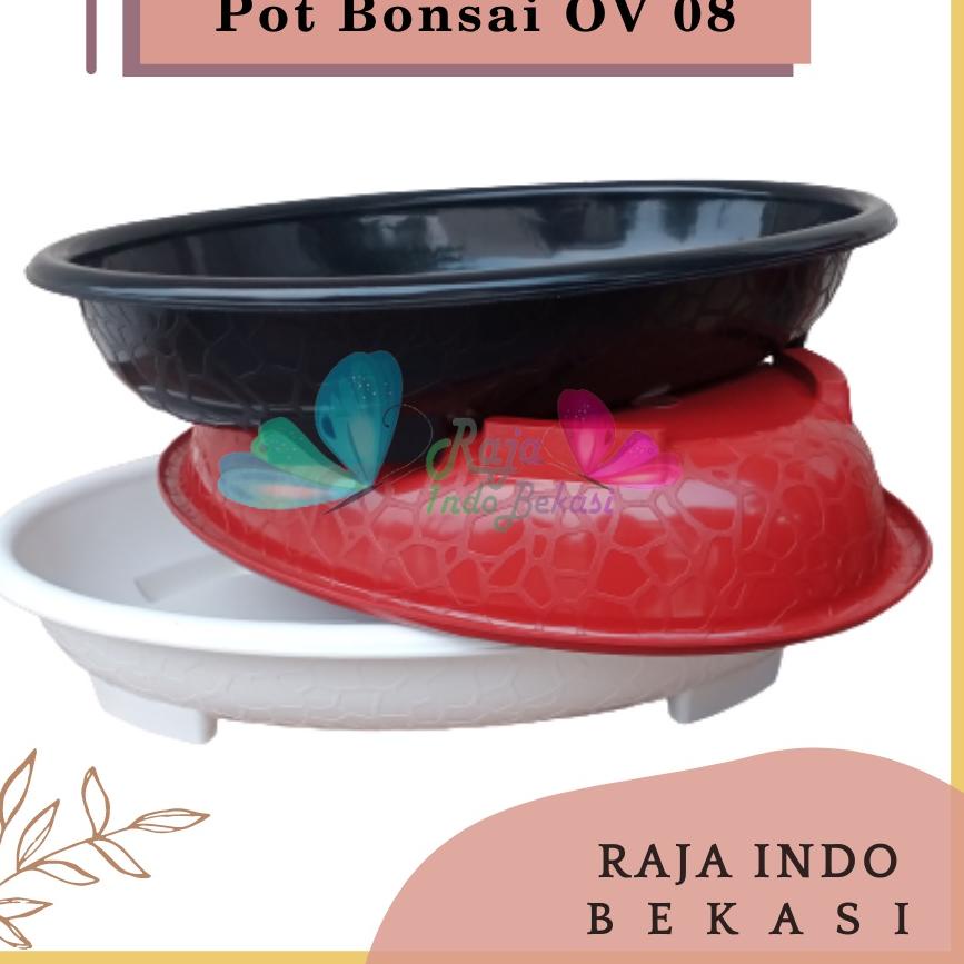 >XG34448< Ori Bjp Bonsai Oval Ov 08 Putih Hitam Merah Bata Coklat Pot Bunga Plastik Bonsai Budi Jaya