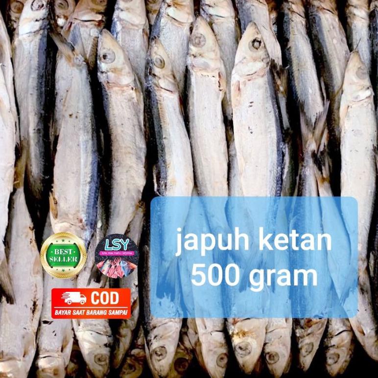 

Star 6.6 ikan asin japuh ketan 500gr