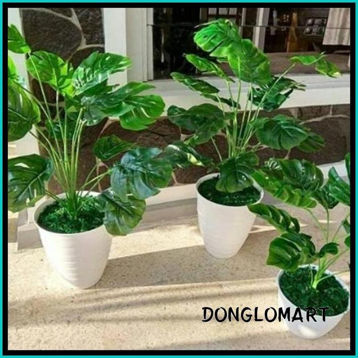 POT PIRUS TAWON BUNGA TANAMAN PUTIH 30 CM PLASTIK AWET KUAT TERMURAH