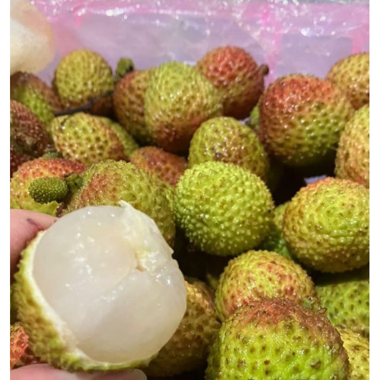 LYCHEE Leci Buah Segar IMPORT Leci madu HIJAU MERAH