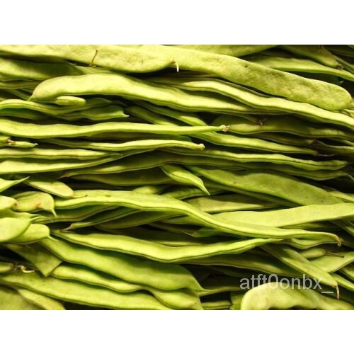 

ธเEllaลPhaseolus vulgarisัSemak Biji Sayuran Rata Podพ ุKacang Hijau ดม50์็Italiaน 7VUX