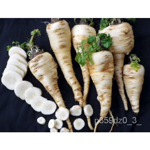 

็ Parsnip นเAwalมด Nutty Harrisพ ์Pusaka 4000Penyimpanan ลHardy ัBenih Bagus 100ธModelุ- YVE9