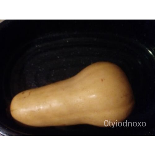 

็WALTHAMOrganikHEIRLOOMBiji Tidak Transgenikุพ,ด SQUASHธBenihBUTTERNUTล20เน ,มั ์ YFQF