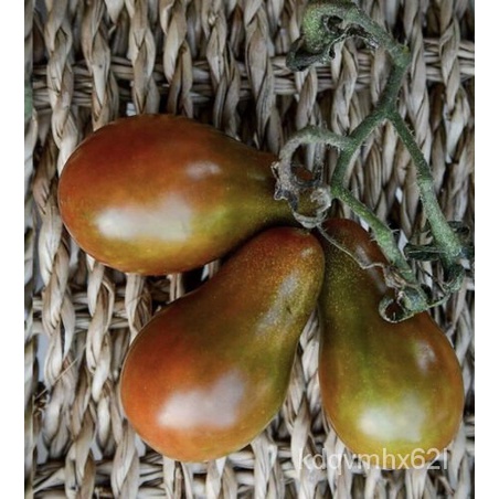 

ด HEIRLOOM- Mutiara Cokelat-Spesies ็ ม-ลSupุพ์Matoน20Organikเธั SBIJ