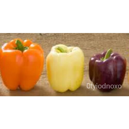 

Orangeด-Putih-Granul50พ-ุPencampuran-Organikเล-Non-transgene-Manis์Ungu็นธLonceng Penanaman Biji USA