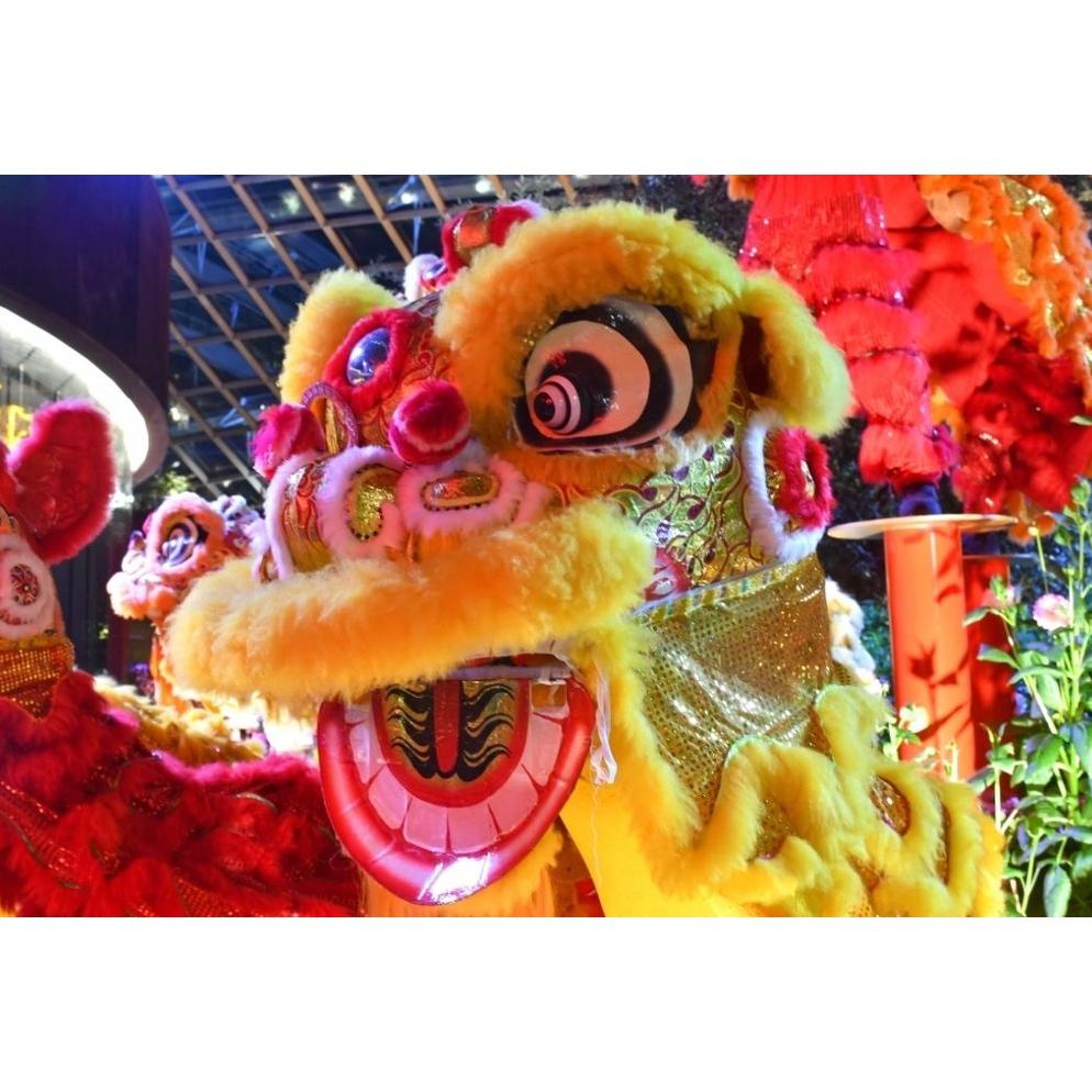 Bayar Ditempat BARONGSAI FULL LED MATA SUPER BESAR MAINAN ANAK-ANAK ATAPUN ORANG DEWASA SUPER PANJAN