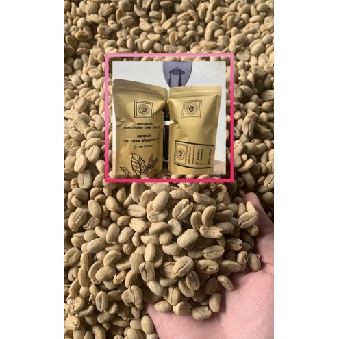

Arabica