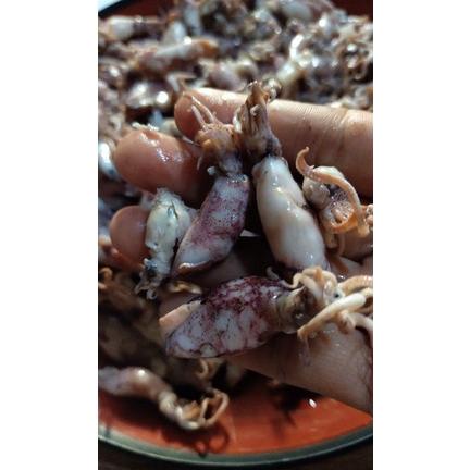 

Asin cumi telor 500gr toko tutijambalroti Best Seller