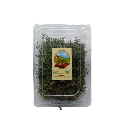 

Living Thyme
