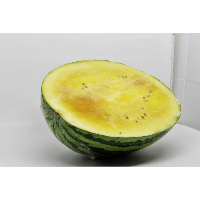 

Semangka Kuning Non Biji - Total Buah