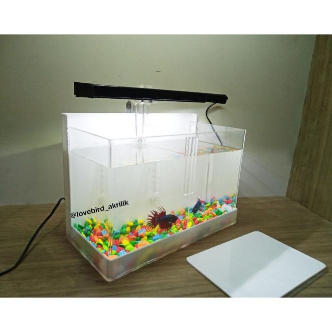 Aquarium Mini Akrilik Aquarium Sekat Aquarium Cupang Soliter