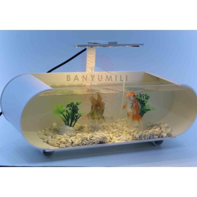 Aquarium / Aquarium Mini / Aquarium Mini + Sekat / Aquarium Akrilik +