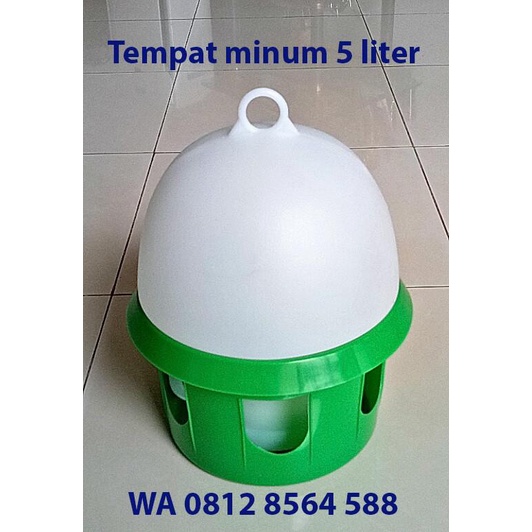 Best Seller Tempat Minum Burung Merpati Pos - 5 Liter