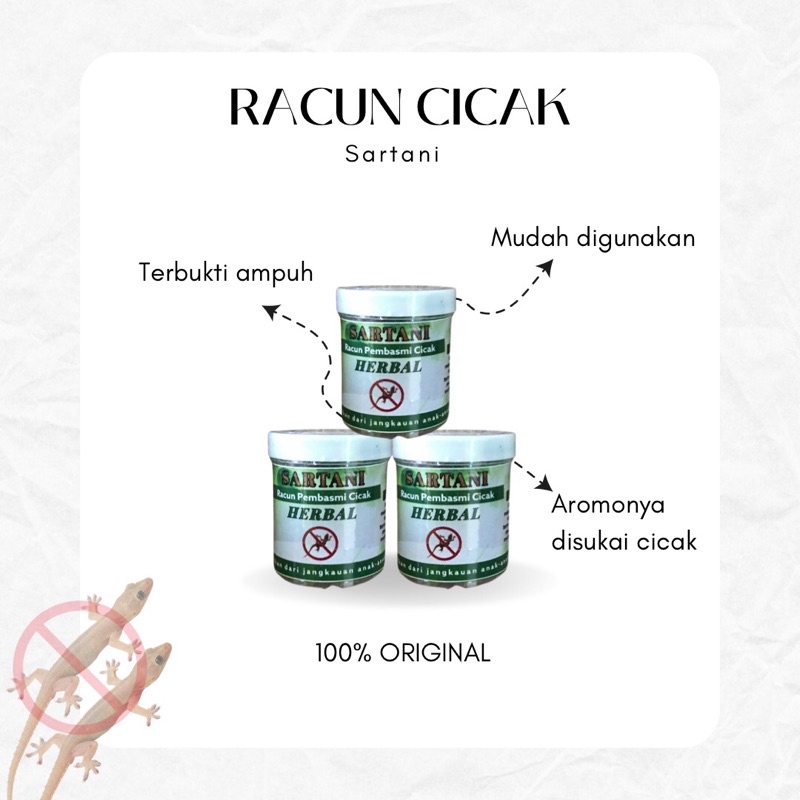 RACUN CICAK AMPUH  - Racun Cicak Herbal - Paling Ampuh Membasmi Cicak Sekali Hap ! Racak - Racak Her