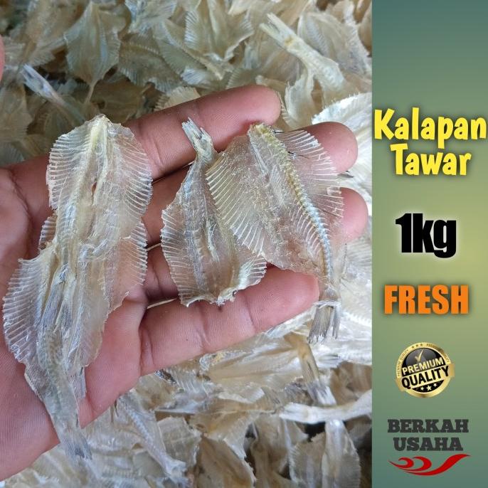 

IKAN ASIN TIPIS KERUPUK PAKANG KALAPAN TAWAR KERING FRESH per 1kg