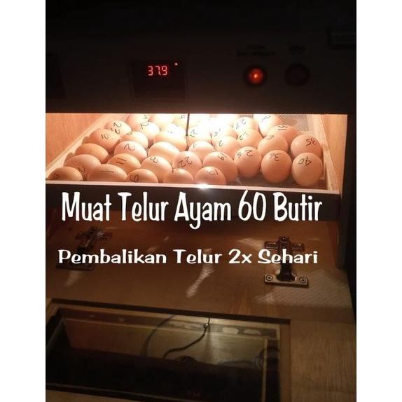 "Dmz" Mesin Tetas Telur Kapasitas 60 Butir Penetas Telur Ayam Bebek