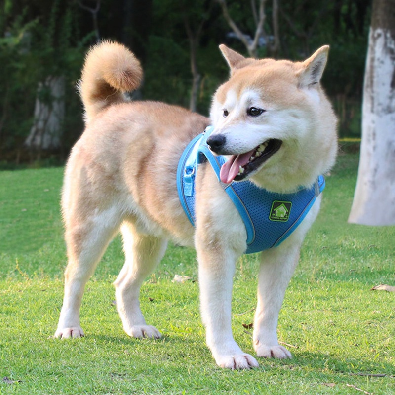 Holiven Rompi Tali Anjing Kucing Harness Hewan Peliharaan Reflektif Breathable Gaya Baru