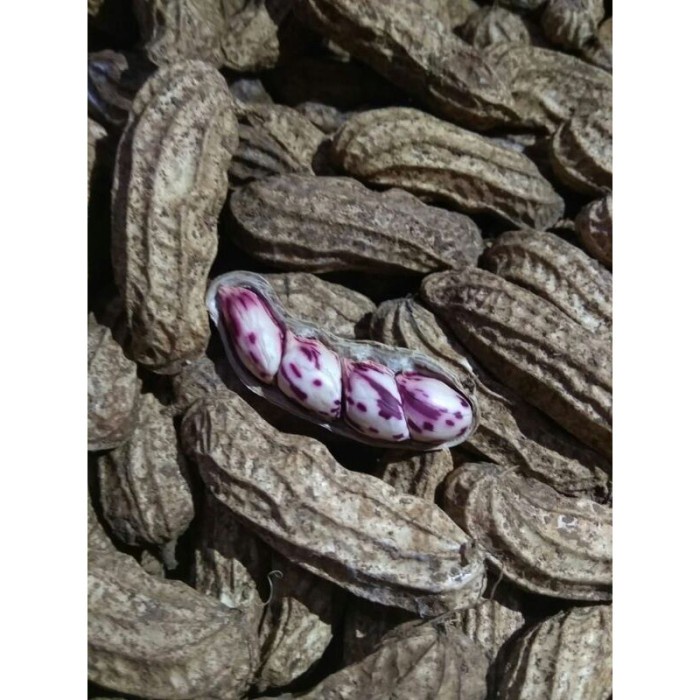 

Kacang Tanah Madu / 500 gram