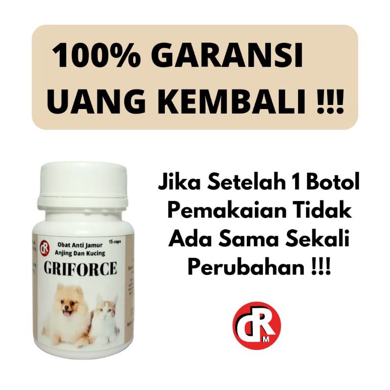 Rekomendasi. Obat Jamur Anjing Kucing Kitten Griforce Anti Jamur Ringworm Parasit Kulit Berkerak Ale