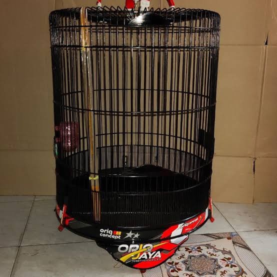 kandang murai oriq no 2