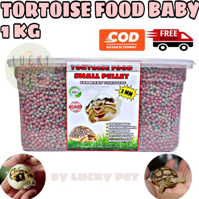 Laris [1 Kg Pelet Baby] Makanan Kura Kura Darat Baby Anak Anakan Sulcata Sulkata Small Baby Anakan A