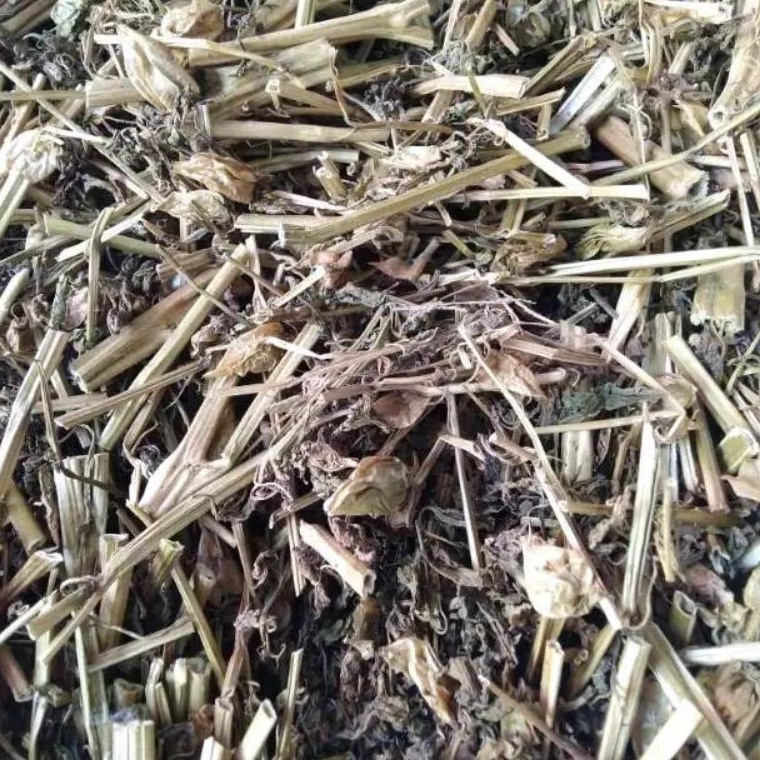 

Jangan Ketinggalan order.. Daun Ciplukan kering 1 kg 63