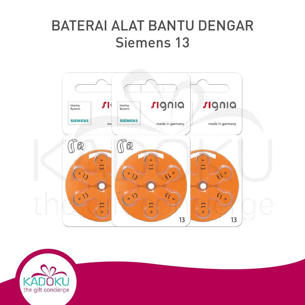 7.7 Alat Bantu Dengar Siemens Signia 13