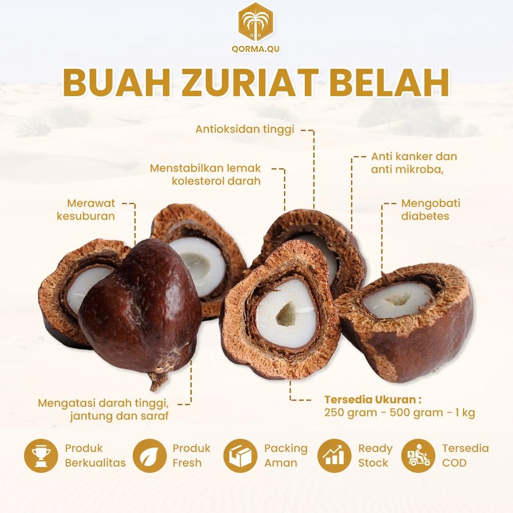 

Promo (READY STOCK) Buah Zuriat Belah Mesir Original 100% Untuk Promil + Free Testpack