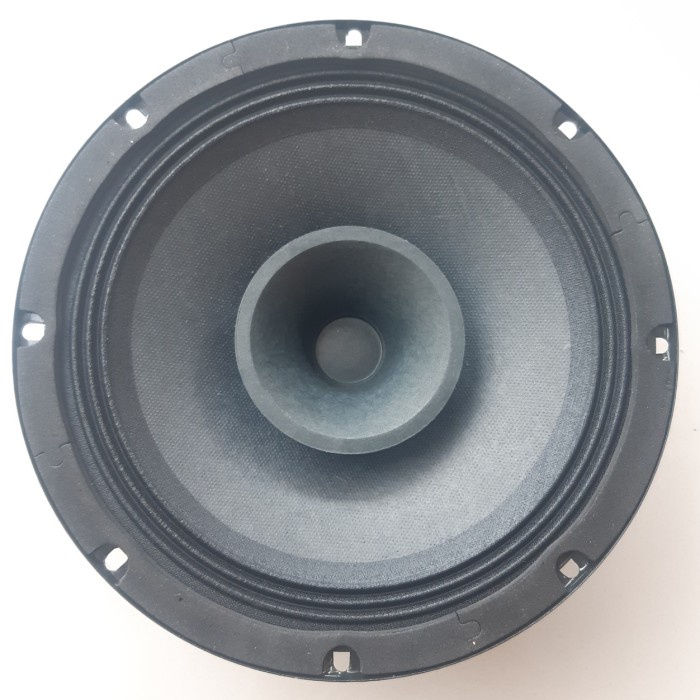 SPEAKER 8 INCH FULLRANGE AUDIO 200 WATT 8 OHM SPEAKER 8INCH 8 IN AUDIO